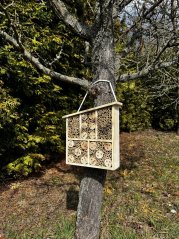 HOTEL FÜR INSEKTEN - Schiefes DACH