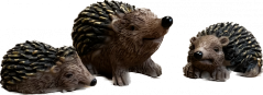 JEŽCI