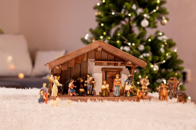 Weihnachtskrippe mit Kälber