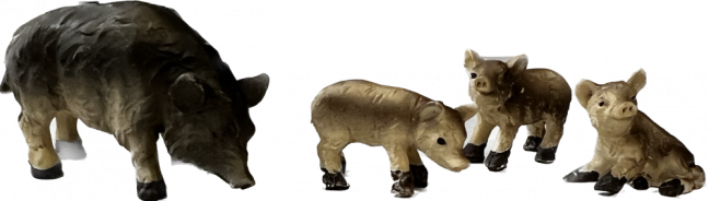 DIVOČÁCI