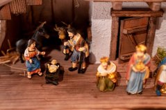 Weihnachtskrippe mit Kälber