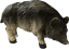 DIVOČÁCI