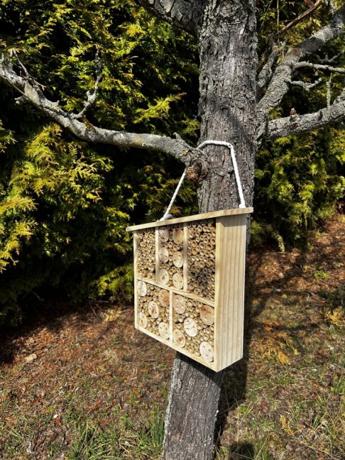 HOTEL FÜR INSEKTEN - Schiefes DACH