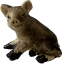 DIVOČÁCI