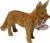 LIŠKA