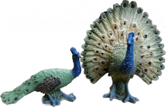 PÁVI