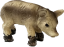 DIVOČÁCI